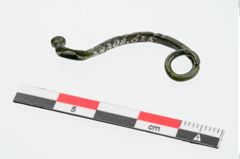 Foto von Bronzecertosafibel (NHMW-PRAE-024308)